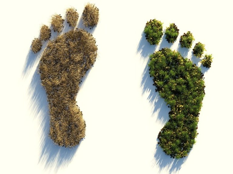 ecological footprint 4123696 1280 - Egyedi lábtörlők