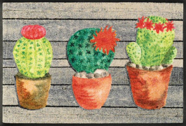 Kaktusz lábtörlő scaled - Egyedi lábtörlők